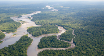Fundo Amazônia aplica R$ 80 milhões para produção agrícola comunitária